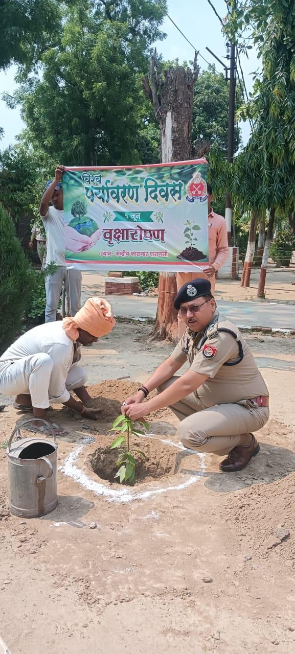  सेन्ट्रल जेल परिसर में एसएसजे समेत अन्य अधिकारियों ने सैकड़ों फलदार वृक्ष लगाये